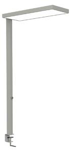 Maul LED-svetilka MAULjura, srebrna, z možnostjo zatemnitve, 100 cm, zatemnjen, Kovinska, Študija / pisarna, Aluminij, Sodobni