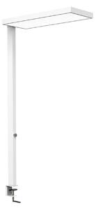 Maul LED-svetilka MAULjura, bela, aluminij, z možnostjo zatemnitve, 100 cm, zatemnjen, Bela, Študija / pisarna, Aluminij, Sodobni