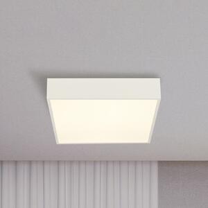 Searchlight LED kopalniška stropna svetilka Zeus, bela, dolžina 30 cm, kovina, Bela, Kopalnica, Aluminij, Sodobni