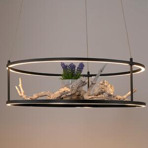 Paul Neuhaus LED-visoka svetilka Conni, črna, Ø 50 cm, zatemnjen, Črna, Dnevna soba / jedilnica, Kovina, Sodobni