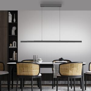 Paul Neuhaus LED obesna svetilka Adriana Comfort Lift, siva, CCT, zatemnjen, Siva, Dnevna soba / jedilnica, Aluminij, Sodobni