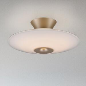 Paul Neuhaus LED stropna svetilka Elipsa, bela/bronasta, Ø 35 cm, zatemnjen, Bronasta / starinska medenina, Dnevna soba / jedilnica, Steklo