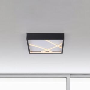 JUST LIGHT. GmbH LED-stropna svetilka Mikado, 30 x cm, črna, zatemnjen, Črna, Dnevna soba / jedilnica, Kovina, Sodobni