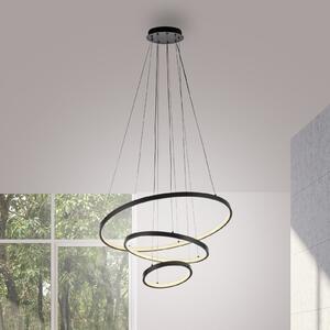 JUST LIGHT. GmbH LED-visoka svetilka Cerchi, črna, 3.000 K, Črna, Dnevna soba / jedilnica, Kovina, Sodobni