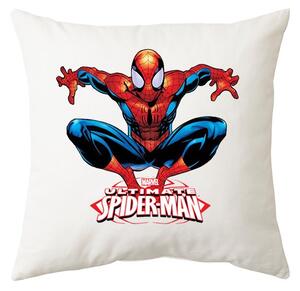 JAKS Blazina 40 x 40 cm Vzorec: Spider man