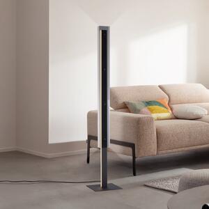 Schöner Wohnen LED-stojna svetilka Lena, železo, črna, dimmer, zatemnjen, Črna, Dnevna soba / jedilnica, Kovina, Sodobni