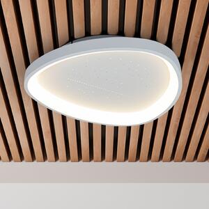 Näve LED stropna svetilka Argesa Ø 60,5 cm, bela, CCT, daljinski upravljalnik, zatemnjen, Bela, Dnevna soba / jedilnica, Kovina, Sodobni