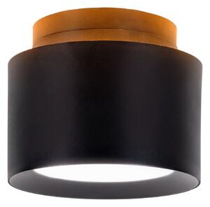 Näve LED stropni reflektor Trimes, Ø 11,5 cm, črn, CCT, stopnjevalno zatemnitven, zatemnjen, Črna, Dnevna soba / jedilnica, Plastika