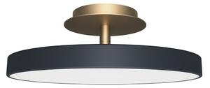 UMAGE LED stropna svetilka Asteria UP PLUS, antracit Ø 31 cm CCT, zatemnjen, Črna, Dnevna soba / jedilnica, Kovina, Dizajn