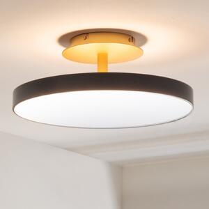 UMAGE LED stropna svetilka Asteria UP PLUS, antracit Ø 43 cm CCT, zatemnjen, Črna, Dnevna soba / jedilnica, Kovina, Dizajn