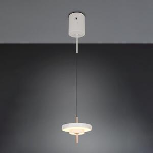 Trio Lighting LED viseča svetilka Keaton, svetlo siva, Ø 20 cm, kovina, CCT, zatemnjen, Siva, Dnevna soba / jedilnica, Kovina