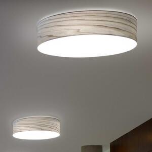 LZF LAMPS LED stenska svetilka Gea, siva, Ø 42 cm, les, zatemnjen, Siva, Dnevna soba / jedilnica, Les, Dizajn
