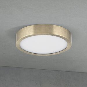 ORION LED stropna svetilka Disc, starinsko medenina, Ø 14 cm, CCT, zatemnjen, Bronasta / starinska medenina, Dnevna soba / jedilnica, Aluminij, Sodobni