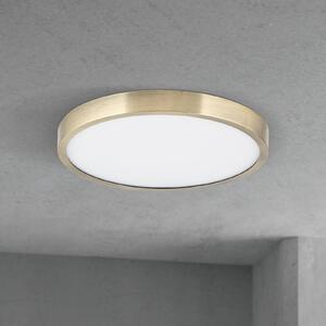 ORION LED stropna svetilka Disc, starinsko medenina, Ø 24 cm, CCT, zatemnjen, Bronasta / starinska medenina, Dnevna soba / jedilnica, Aluminij, Sodobni
