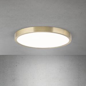ORION LED stropna svetilka Disc, starinsko medenina, Ø 28 cm, CCT, zatemnjen, Bronasta / starinska medenina, Dnevna soba / jedilnica, Aluminij, Sodobni