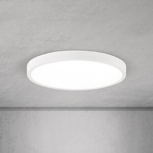 ORION LED stropna svetilka Disc, bela Ø 28 cm, CCT, kovina/plastika, zatemnjen, Bela, Dnevna soba / jedilnica, Aluminij, Sodobni