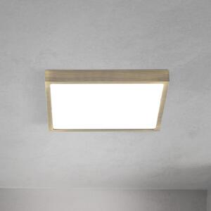 ORION LED stropna svetilka Disc, barva starega medenine, dolžina 24 cm, CCT, zatemnjen, Bronasta / starinska medenina, Dnevna soba / jedilnica, Aluminij, Sodobni