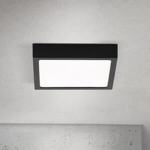 ORION LED stropna svetilka Disc, črna Dolžina 14 cm, CCT kovina, zatemnjen, Črna, Dnevna soba / jedilnica, Aluminij, Sodobni