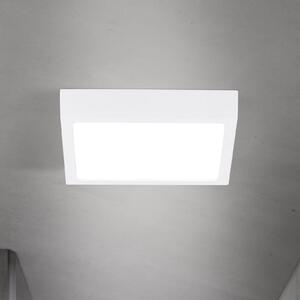 ORION LED stropna svetilka Disc, bela, dolžina 14 cm, CCT, kovina, zatemnjen, Bela, Dnevna soba / jedilnica, Aluminij, Sodobni