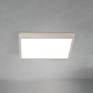 ORION LED stropna svetilka Disc, nikljevo satinirana, dolžina 24 cm CCT, zatemnjen, Kovinska, Dnevna soba / jedilnica, Aluminij, Sodobni