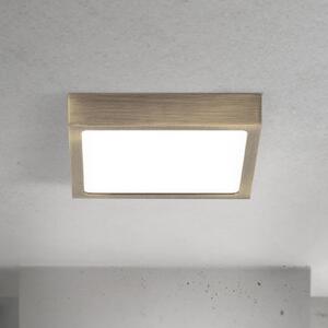 ORION LED stropna svetilka Disc, barva starega medenine, dolžina 14 cm, CCT, zatemnjen, Bronasta / starinska medenina, Dnevna soba / jedilnica, Aluminij, Sodobni