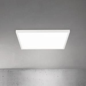 ORION LED stropna svetilka Disc, bela, dolžina 60 cm, CCT, kovina, zatemnjen, Bela, Dnevna soba / jedilnica, Aluminij, Sodobni