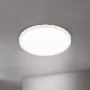 ORION LED stropna svetilka Disc, bela Ø 60 cm, CCT, kovina/plastika, zatemnjen, Bela, Dnevna soba / jedilnica, Aluminij, Sodobni