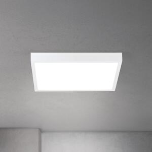 ORION LED stropna svetilka Disc, bela Dolžina 40 cm CCT Kovina/plastika, zatemnjen, Bela, Dnevna soba / jedilnica, Aluminij, Sodobni