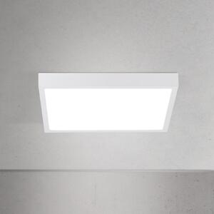 ORION LED stropna svetilka Disc, bela, dolžina 24 cm, CCT, kovina, zatemnjen, Bela, Dnevna soba / jedilnica, Aluminij, Sodobni