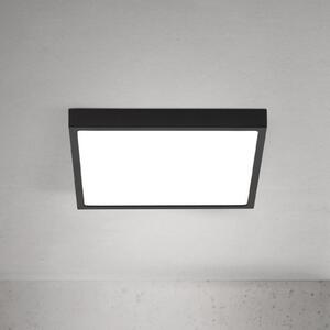 ORION LED stropna svetilka Disc, črna Dolžina 24 cm, CCT kovina, zatemnjen, Črna, Dnevna soba / jedilnica, Aluminij, Sodobni