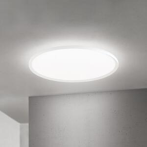 ORION LED stropna svetilka Kant, Ø 80 cm, bela, CCT, kovina/plastika, zatemnjen, Bela, Dnevna soba / jedilnica, Aluminij, Sodobni