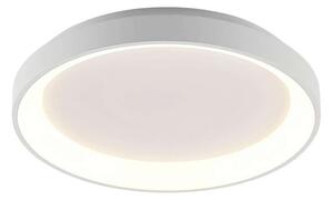 ArcchioArcchio - Vivy LED Stropna Svetilka Ø38 White Arcchio