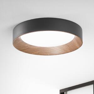 Luce Ambiente Design LED stropna svetilka Arka, Ø 50 cm, črna, kovina, CCT, Črna, Dnevna soba / jedilnica, Kovina, Sodobni
