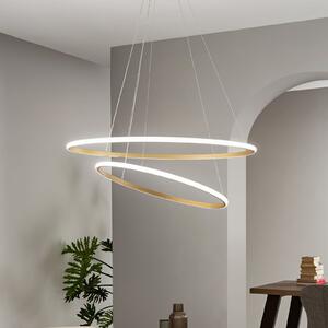 Luce Ambiente Design LED viseča svetilka Axis, Ø 80/60 cm, zlata barva, kovina, CCT, Zlata / medeninasta, Dnevna soba / jedilnica, Kovina, Sodobni