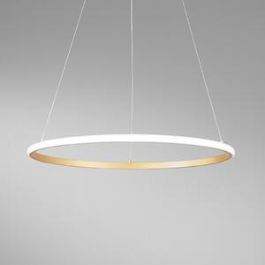 Luce Ambiente Design LED viseča svetilka Axis, Ø 60 cm, zlata barva, kovina, CCT, Zlata / medeninasta, Dnevna soba / jedilnica, Kovina, Sodobni