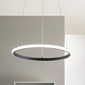 Luce Ambiente Design LED viseča svetilka Axis, Ø 60 cm, črna, kovina, CCT, Črna, Dnevna soba / jedilnica, Kovina, Sodobni