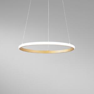 Luce Ambiente Design LED viseča svetilka Axis, Ø 40 cm, zlata barva, kovina, CCT, Zlata / medeninasta, Dnevna soba / jedilnica, Kovina, Sodobni