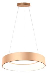 Luce Ambiente Design LED viseča svetilka Noah, zlata barva, Ø 60 cm, kovina, CCT, Zlata / medeninasta, Dnevna soba / jedilnica, Sodobni