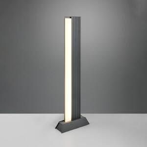 Trio Lighting LED-svetilka MARIZA, višina 100 cm, antracitna, kovina, IP65, Črna, Aluminij, Sodobni