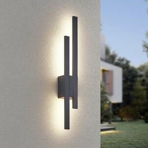 Trio Lighting LED zunanja stenska svetilka TAWA, antracit, 62 cm kovina 2-krilna IP54, Črna, Aluminij, Sodobni