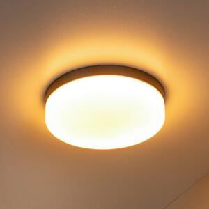Lucide LED kopalniška stropna svetilka Biskit, črna, Ø 23 cm, plastika, Črna, Kopalnica, Plastika, Sodobni