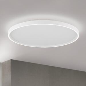 ORION LED stropna svetilka Masca, bela, Ø 60 cm, CCT, kovina, z možnostjo zatemnitve, zatemnjen, Bela, Dnevna soba / jedilnica, Kovina, Sodobni