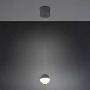 Reality Leuchten LED viseča svetilka Senta, antracit, Ø 10 cm, 3.000 K, 1-flg., Črna, Dnevna soba / jedilnica, Plastika, Sodobni, Globus