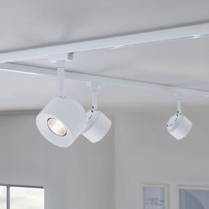 Paulmann URail LED-Spot Pane, signalno bela, 4000K, zmožnost zatemnitve, zatemnjen, Bela, Dnevna soba / jedilnica, Kovina, Sodobni