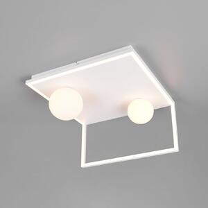 Trio Lighting LED stropna svetilka Arola, bela mat, širina 37 cm, kovina, zatemnjen, Bela, Dnevna soba / jedilnica, Kovina, Sodobni