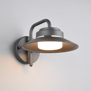 Trio Lighting Zunanja stenska svetilka Atrato, antracit, Ø 20 cm, kovina, zatemnjen, Črna, Aluminij
