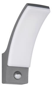 LED stenska zunanja svetilka (višina 22,5 cm) Beja – Trio