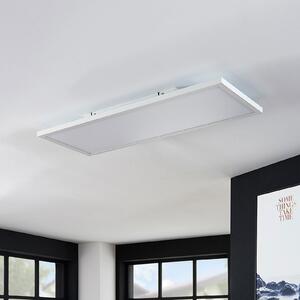 Arcchio LED panel Brenda, 80 x 30 cm, CCT, daljinski upravljalnik, zatemnjen, Bela, Dnevna soba / jedilnica, Plastika, Sodobni