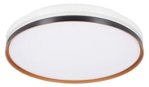 STROPNA LED-SVETILKA Montana 1850 lm 4000 K