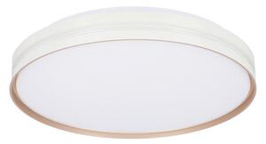 STROPNA LED-SVETILKA Montana 1850 lm 4000 K